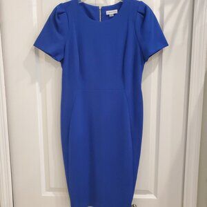 Calvin Klein Blue Short Sleeve Sheath Dress Women's with Zipper Back  Size 12